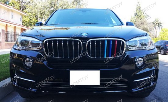 Bmw grille insert #2