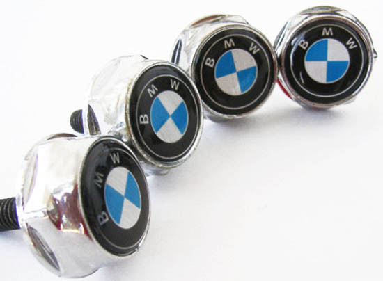 Bmw front license plate screws #4