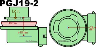 H11 bulbs