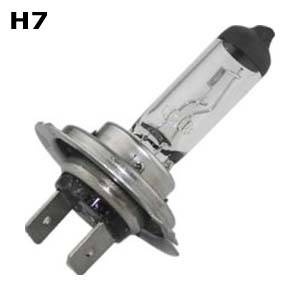 H7 bulbs
