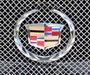 Cadillac vehicle specific LED interior light package